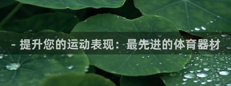 耀世娱乐登陆官网网址:- 提升您的运动表现:最先进的体育器材