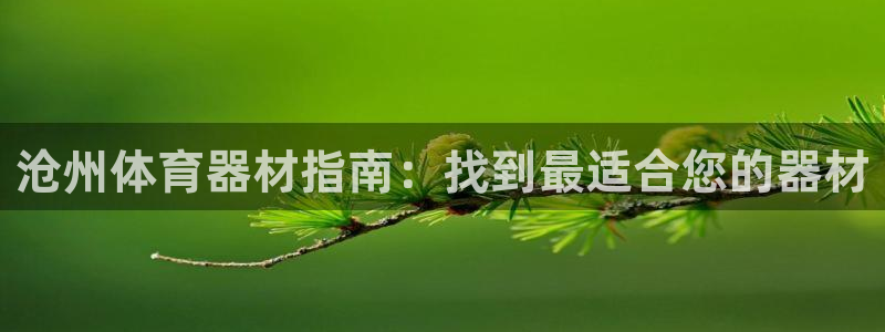 耀世集团是干嘛的企业啊怎么样:沧州体育器材指南:找到最适合您