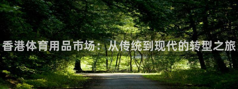 耀世平台有很多登录地址怎么办:香港体育用品市场:从传统到现代