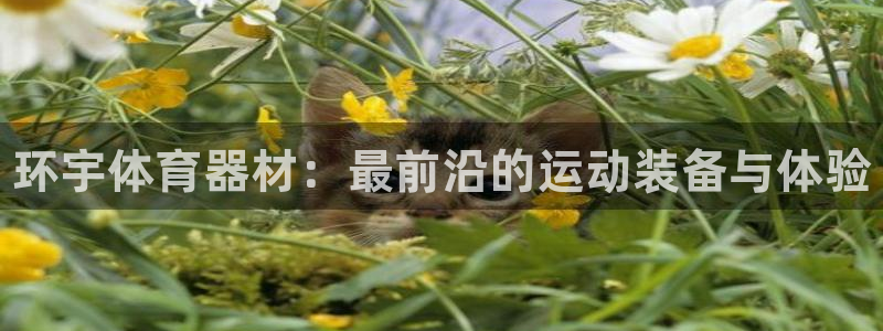 耀世娱乐联3.7.9.9.7 天乐:环宇体育器材:最前沿的运