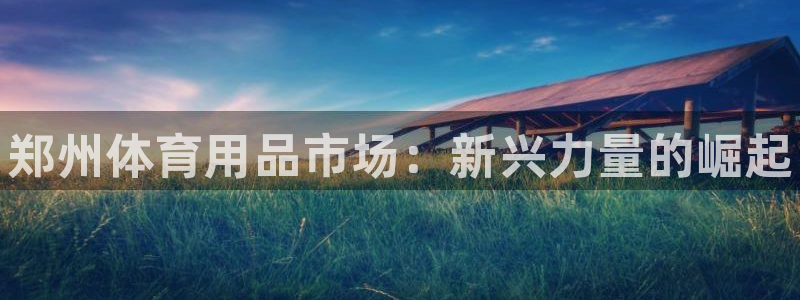 耀世娱乐赢咖APP:郑州体育用品市场:新兴力量的崛起